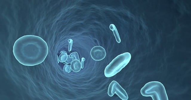 Kmenové buňky: Naděje moderní medicíny a kde se s nimi léčí v Česku
